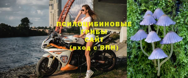 мет Алексин