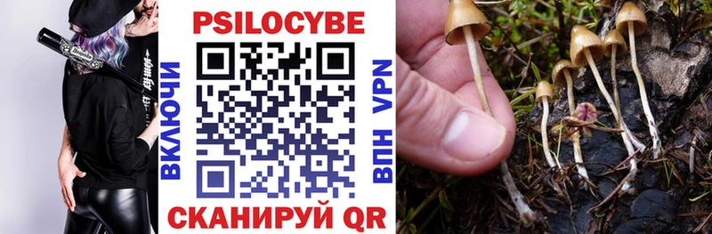Галлюциногенные грибы Magic Shrooms  купить наркотик  Калининград 